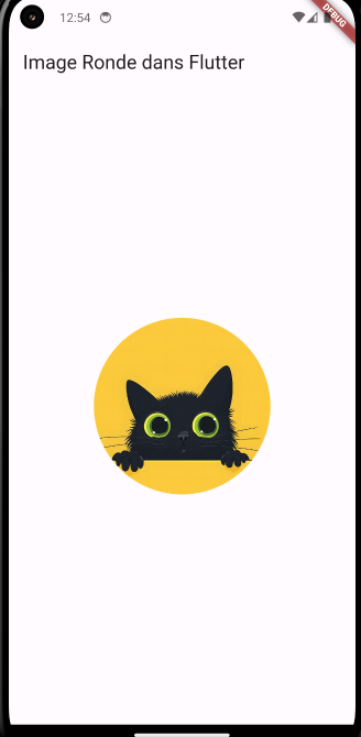 Code d'exemple arrondir une image dans Flutter